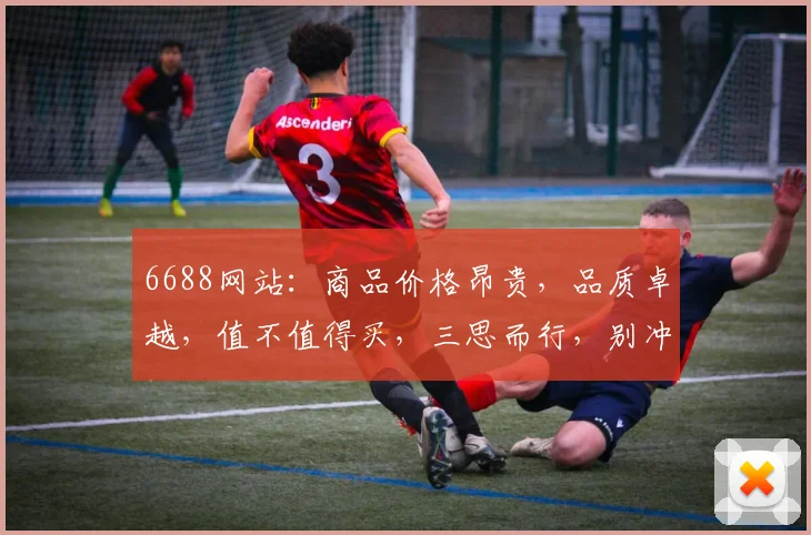 6688网站：商品价格昂贵，品质卓越，值不值得买，三思而行，别冲动