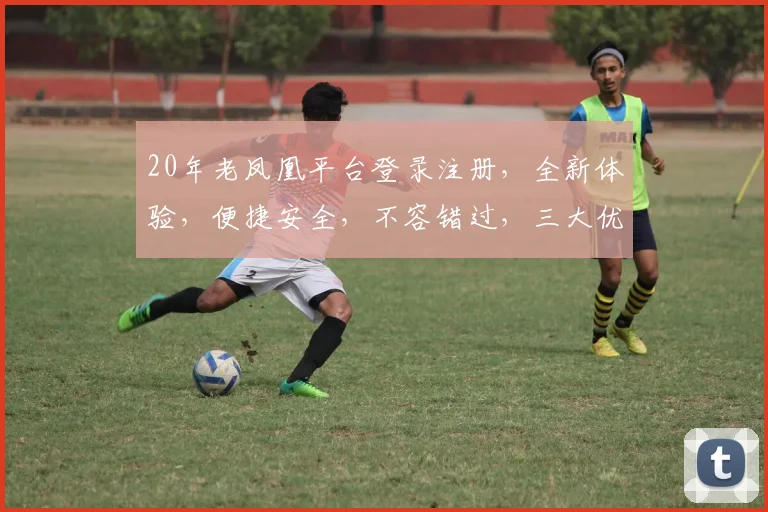 20年老凤凰平台登录注册，全新体验，便捷安全，不容错过，三大优势，三步完成