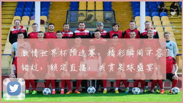 激情世界杯预选赛，精彩瞬间不容错过，锁定直播，共赏足球盛宴，一触即发